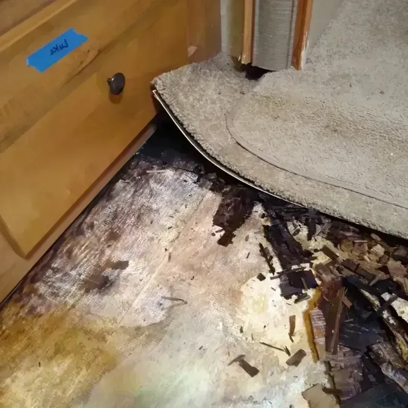 Wood Floor Water Damage in West Hattiesburg, MS